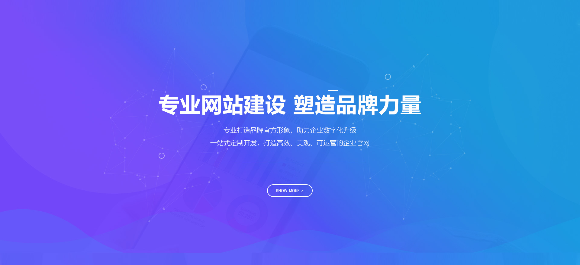 瑞安建站-专业网站建设 塑造品牌力量