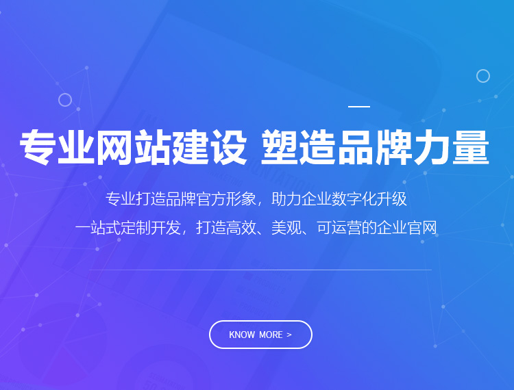 瑞安建站-专业网站建设 塑造品牌力量